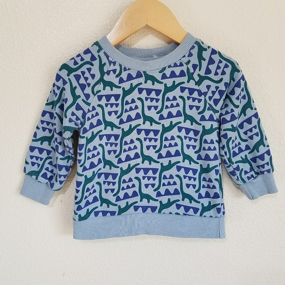 Hanna Andersson Blue Dinosaur Print Kids Sweater